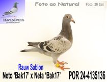 POR 24-4135136